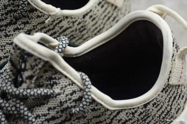 YEEZY Dove Boost 350 AQ4832 Adidas Turtle 0701